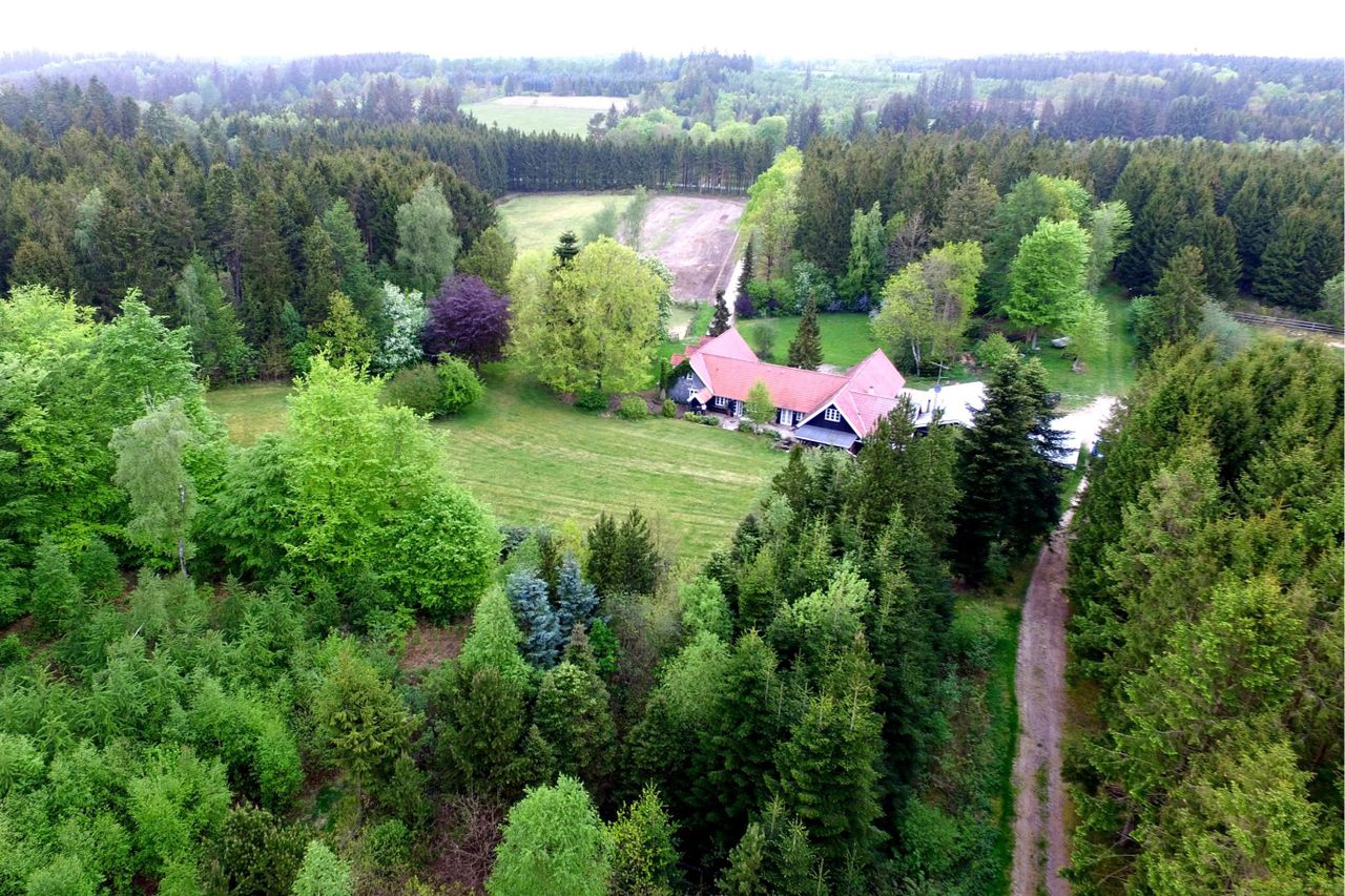 image 01